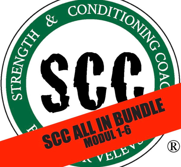 SCC ALL IN BUNDLE - STRONG FRIDAY Offer! - SCC Modul 1 - 6